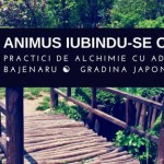 GRATUIT: Workshop Animus iubindu-se cu Anima - Bucuresti, 12 mai 2018