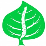 Life Concept Clinic – Kinetoterapie | Masaj terapeutic | Fizioterapie | Reeducare posturala | Drenaj limfatic | Kinesio taping | Gimnastica prenatala – Timisoara